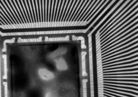 XRay_Capture_20251216_163845